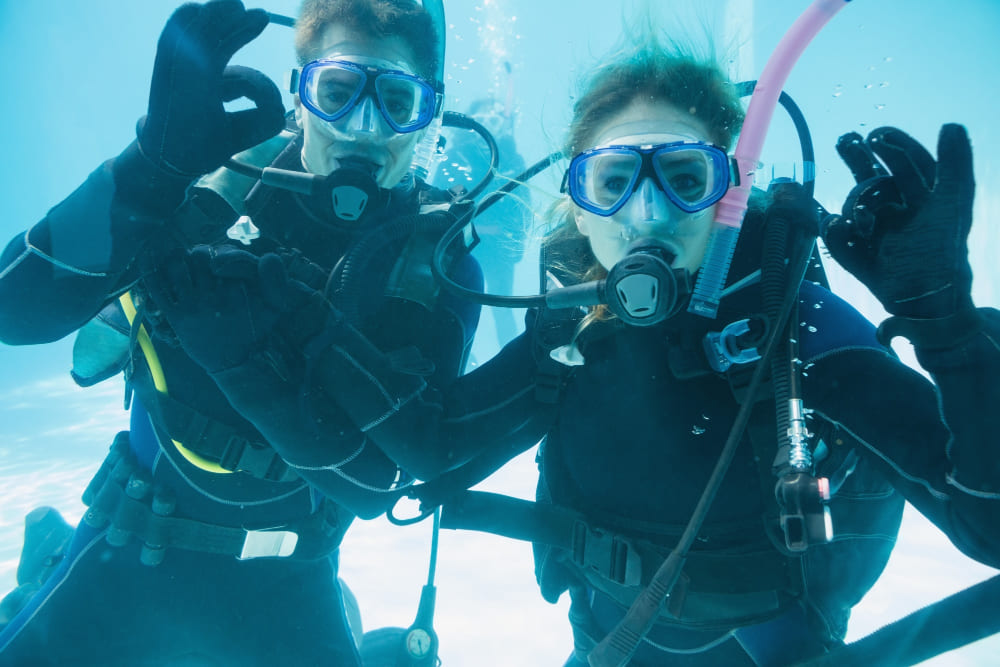 Diver
